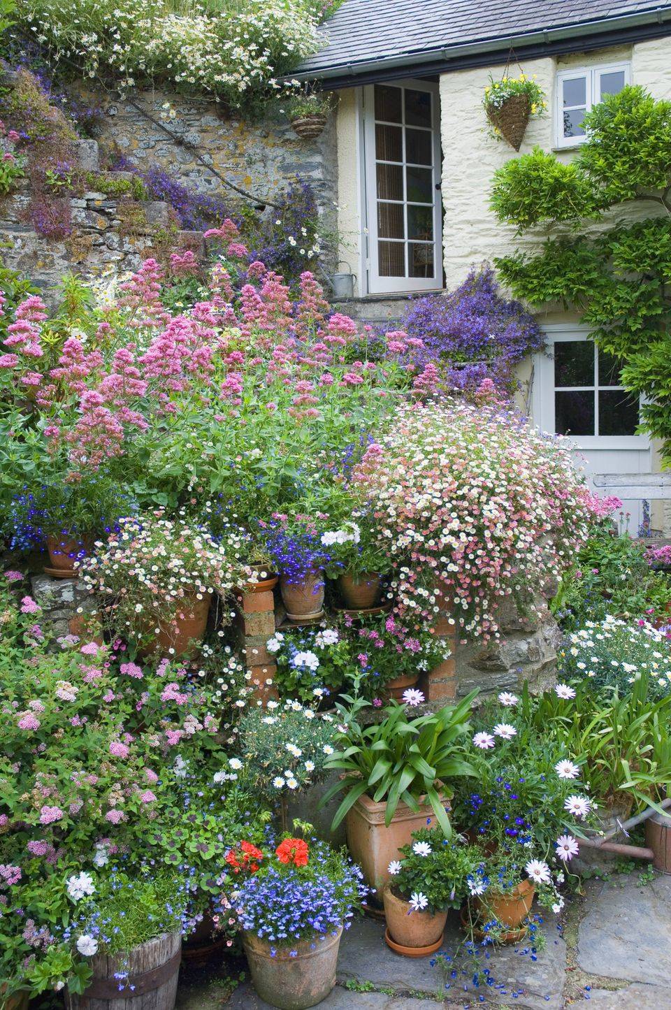 Yearround Container Gardens