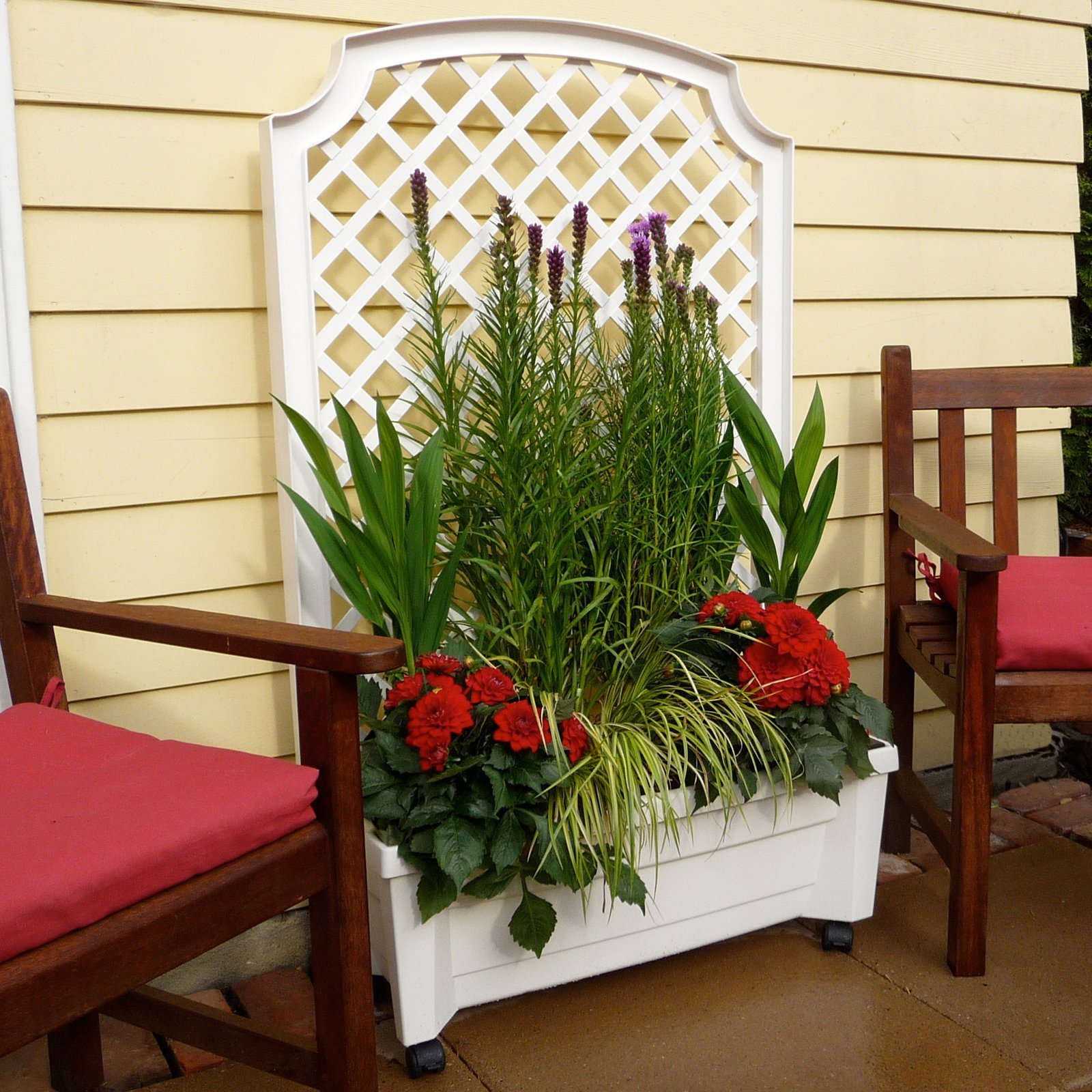 Wheel Barrel Planter Upcycling Amp Gardening
