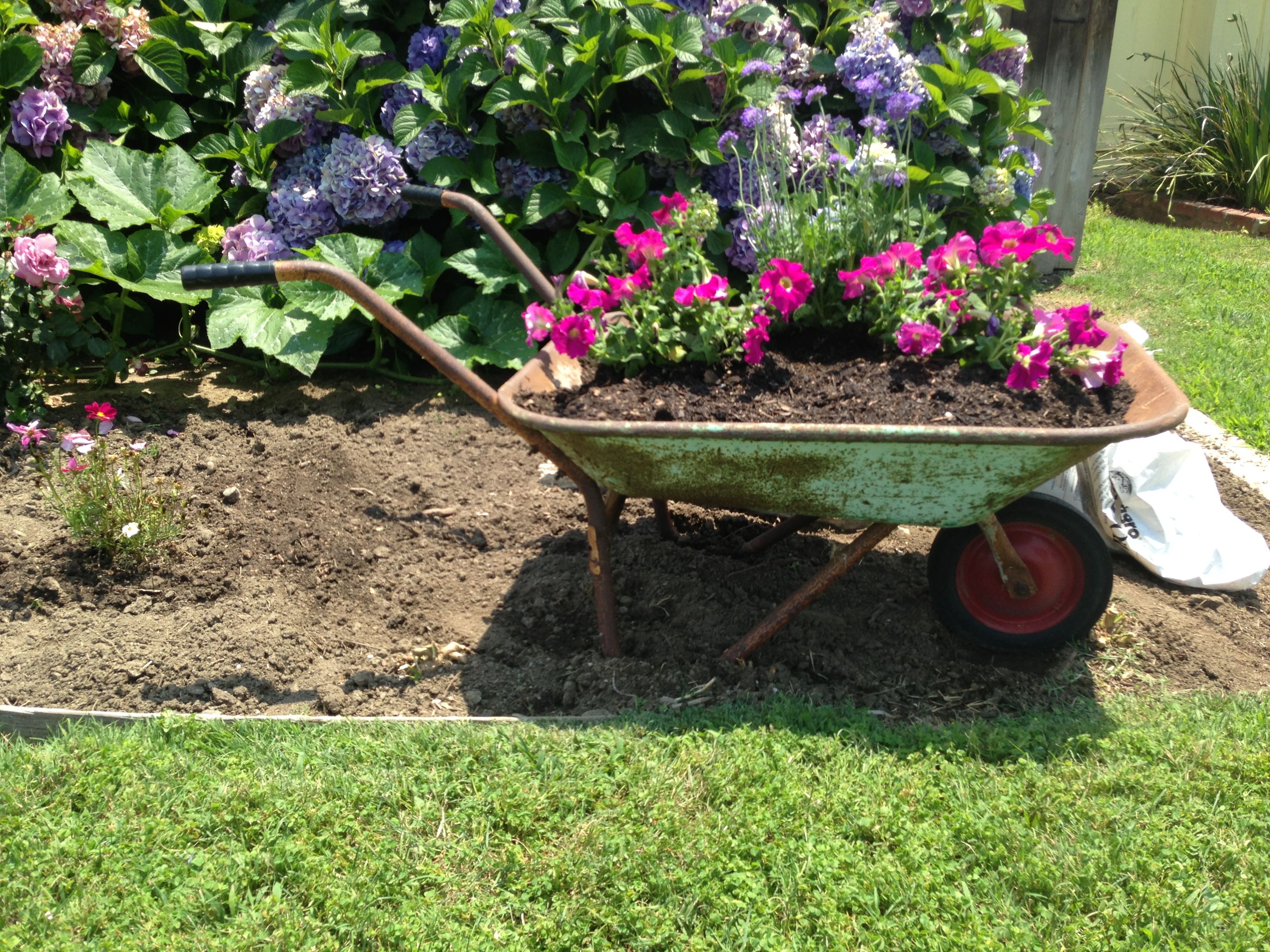 Wheel Barrel Planter Upcycling Amp Gardening