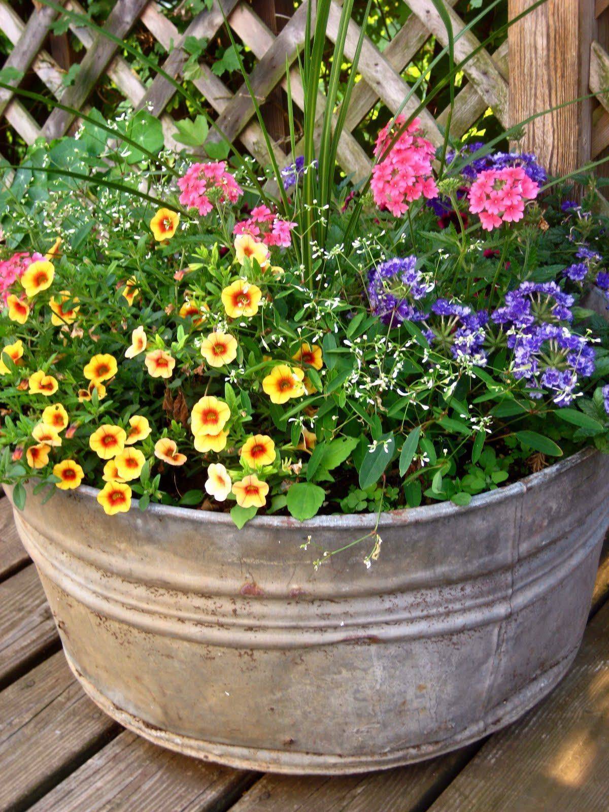 Container Gardening Flowers Full Sun