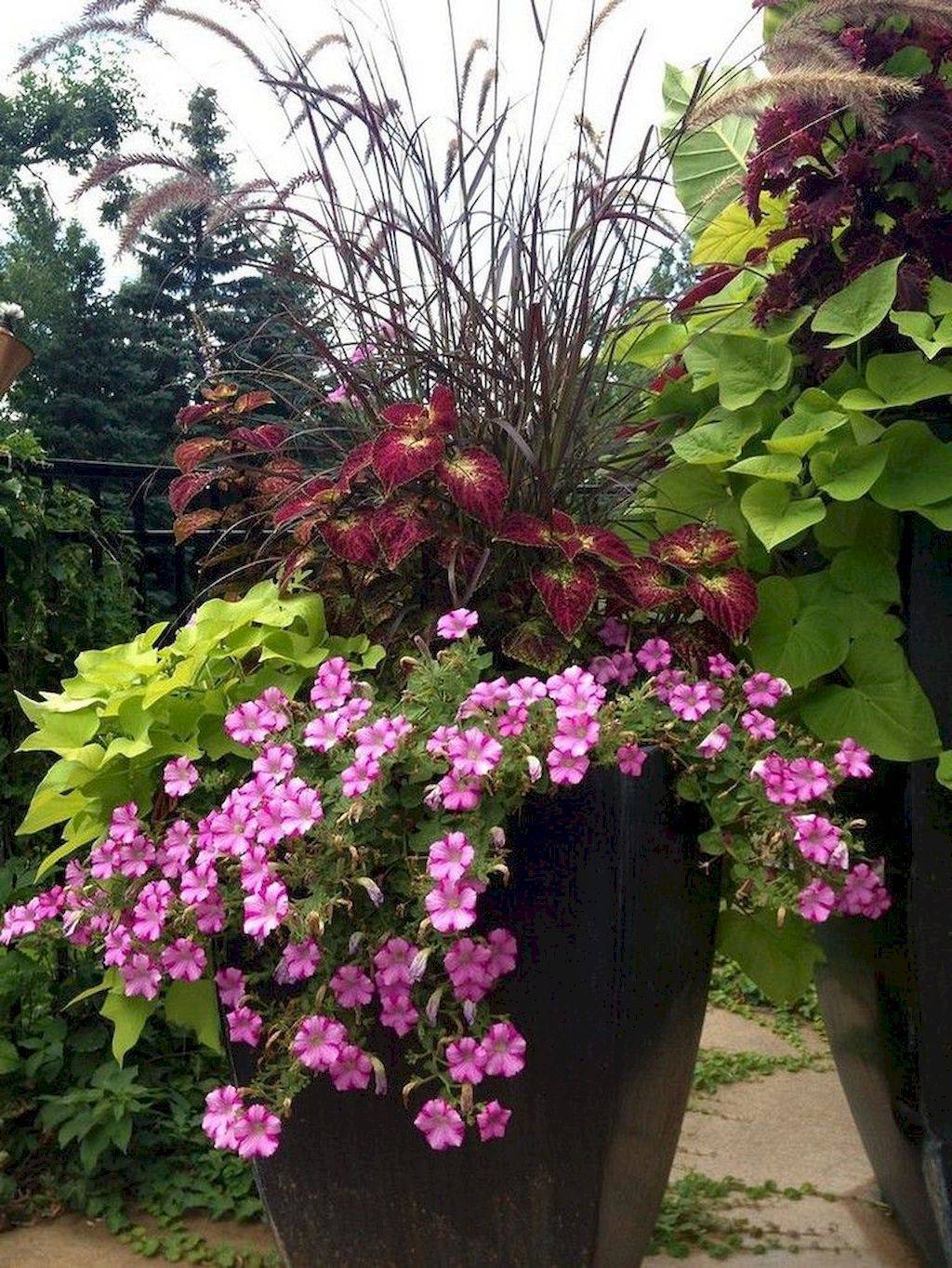 Container Gardening Ideas