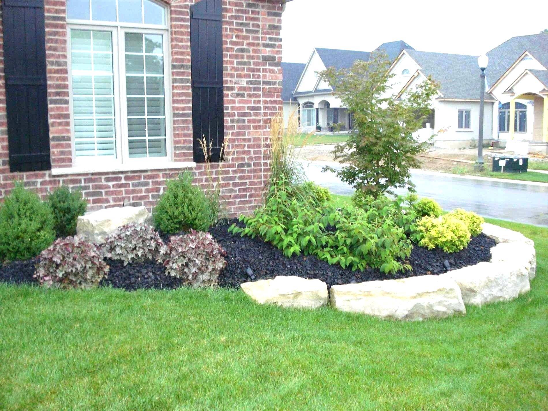 Curb Appeal Landscaping Boost