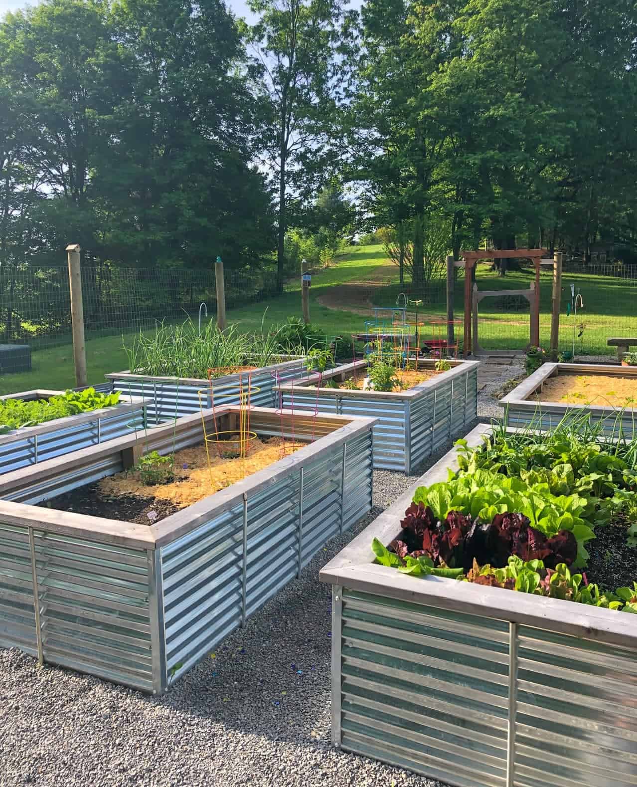 Metal Garden Beds Deeper Roots Higher Crop Yield