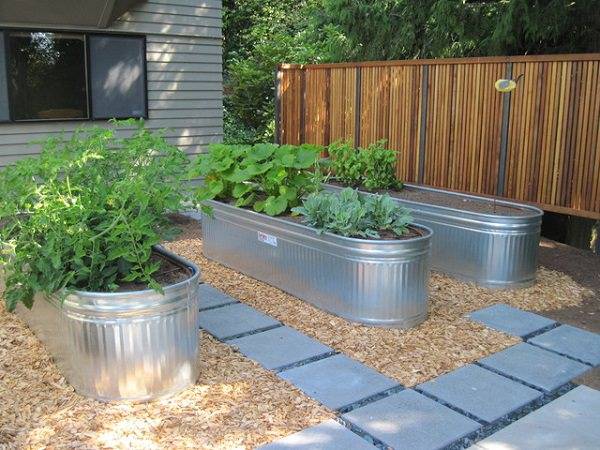 Garden Yard Ideas