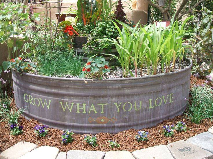 Galvanized Tub Vegetable Garden Home And Garden Designs