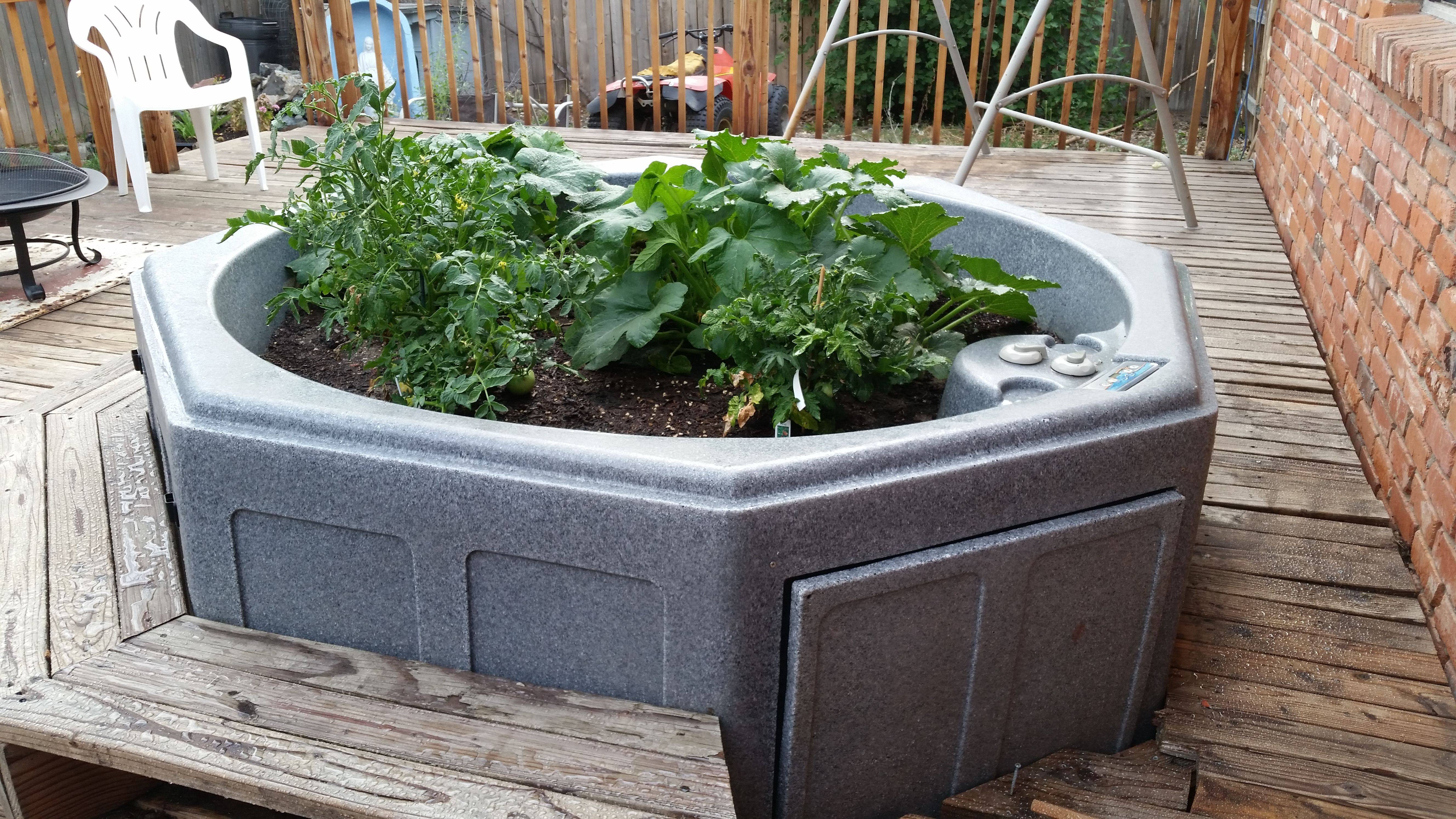 Raised Garden Beds