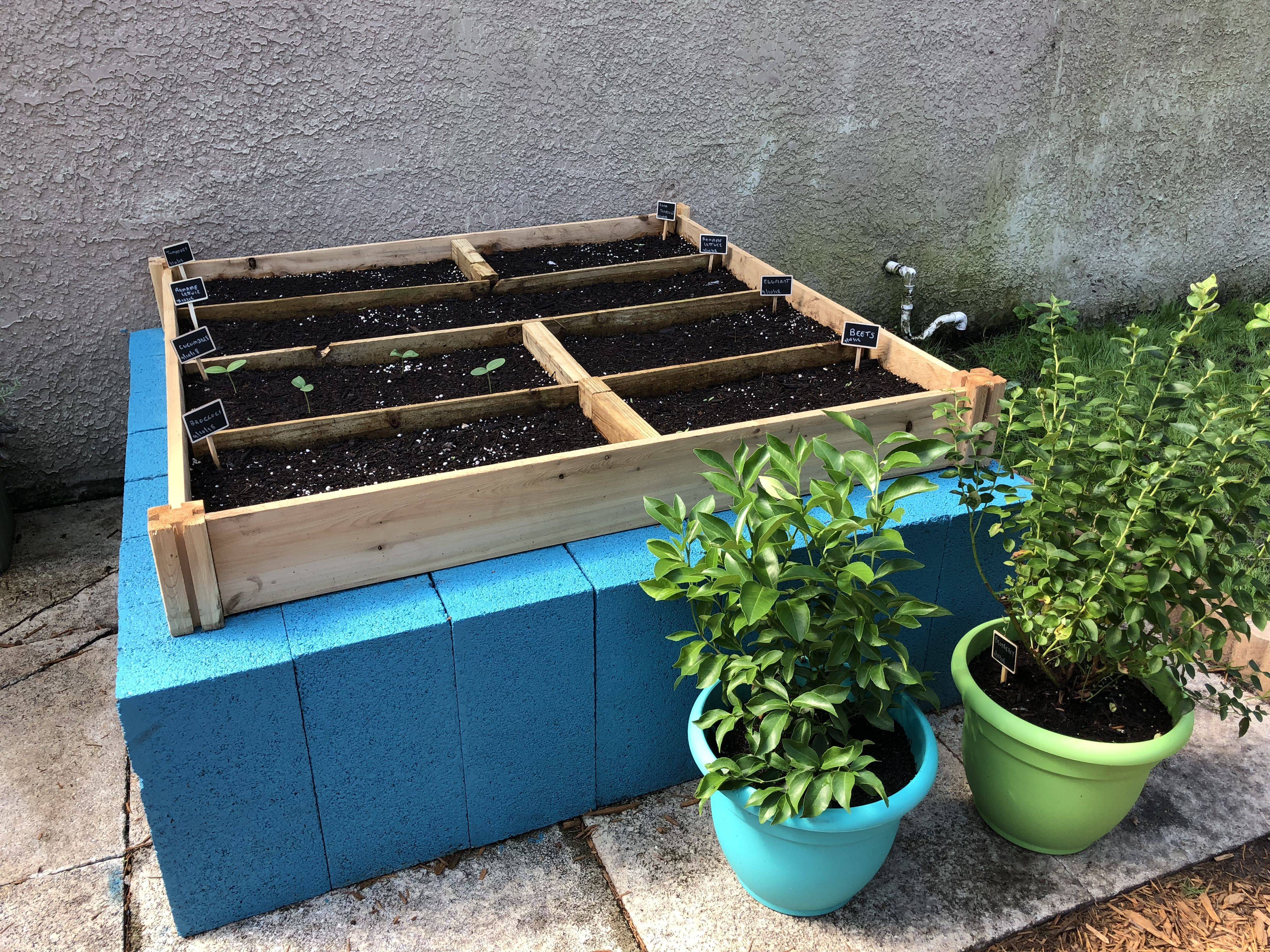 A Raised Bed Garden