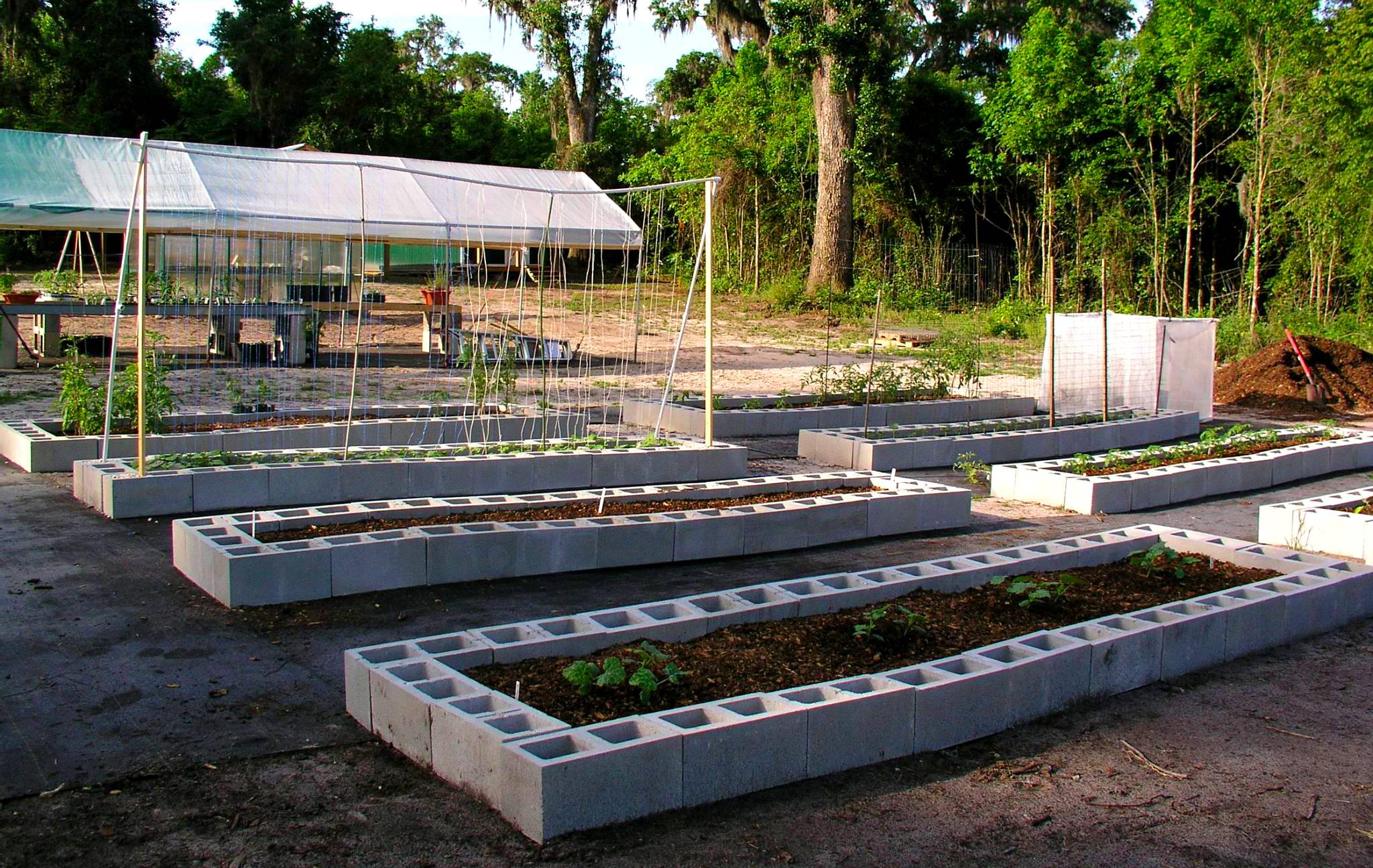 A Concrete Block Garden