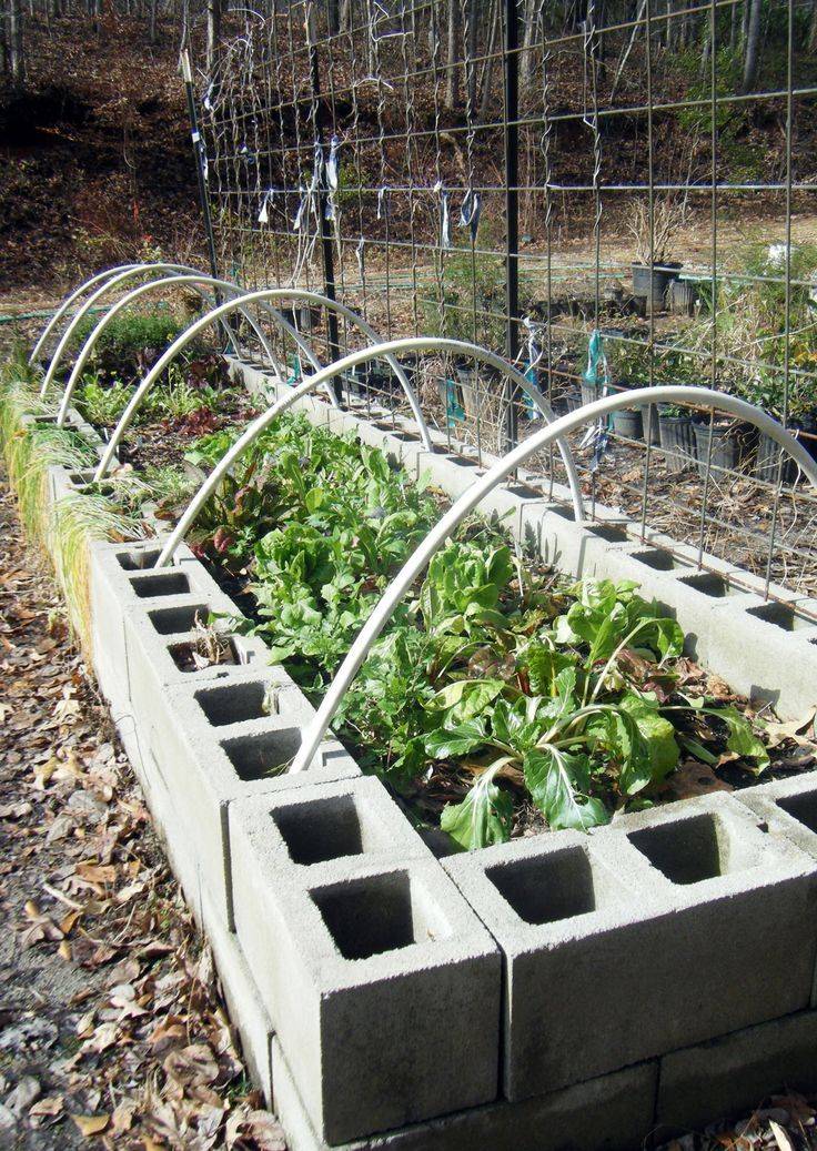 A Cinder Block Raised Bed Garden