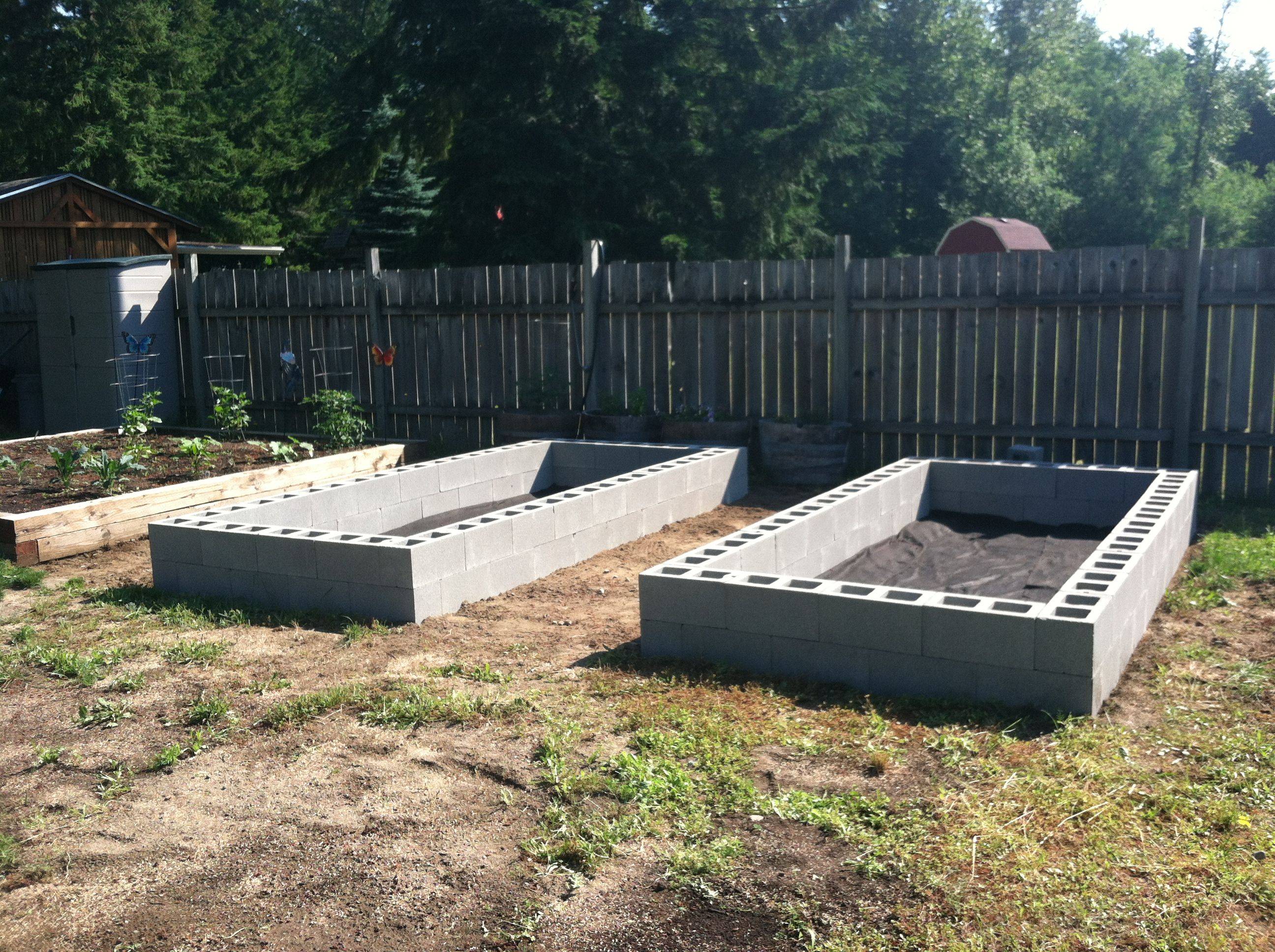 My Cinderblock Garden