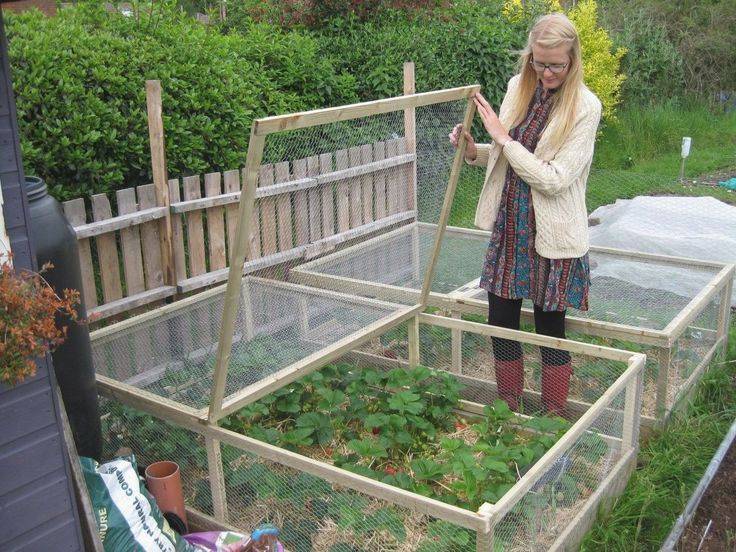 Large Chicken Coop Walkin Metal Hen Cage