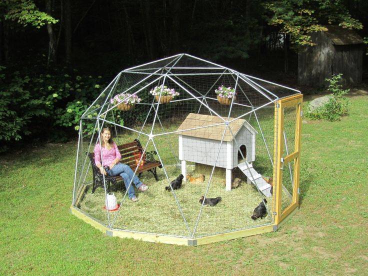 Simple Outdoor Cat Enclosure