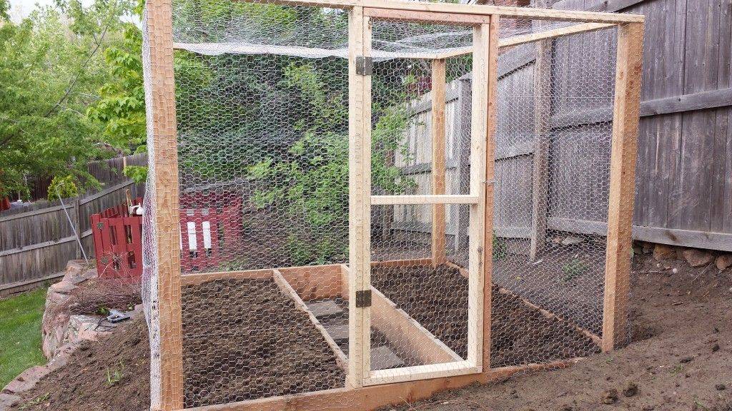Chicken Wire Enclosure
