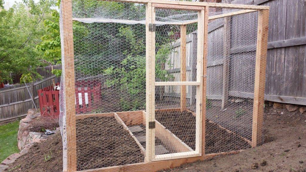 20 Chicken Wire Garden Enclosure Ideas Worth to Check SharonSable