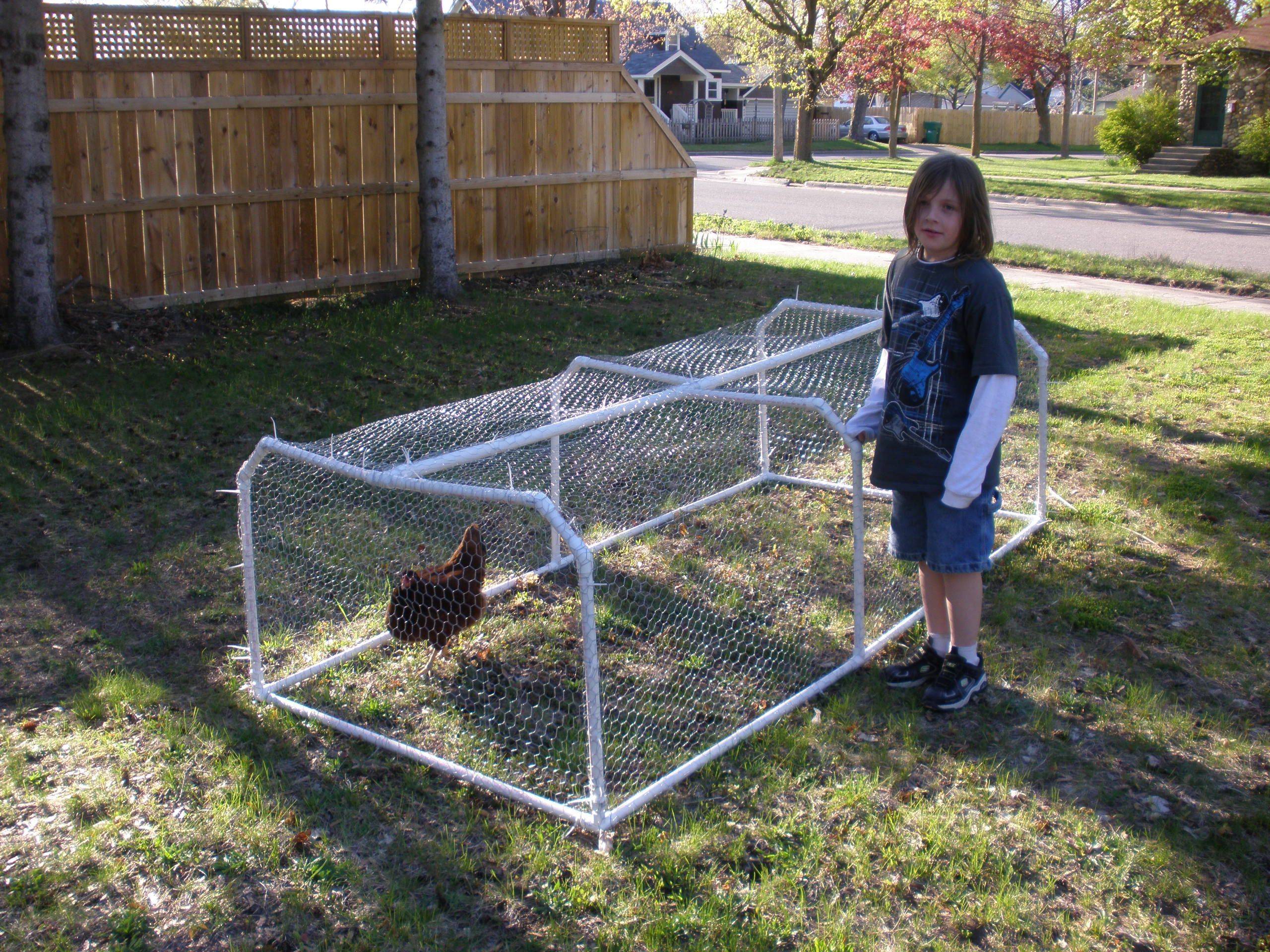 20 Chicken Wire Garden Enclosure Ideas Worth to Check SharonSable