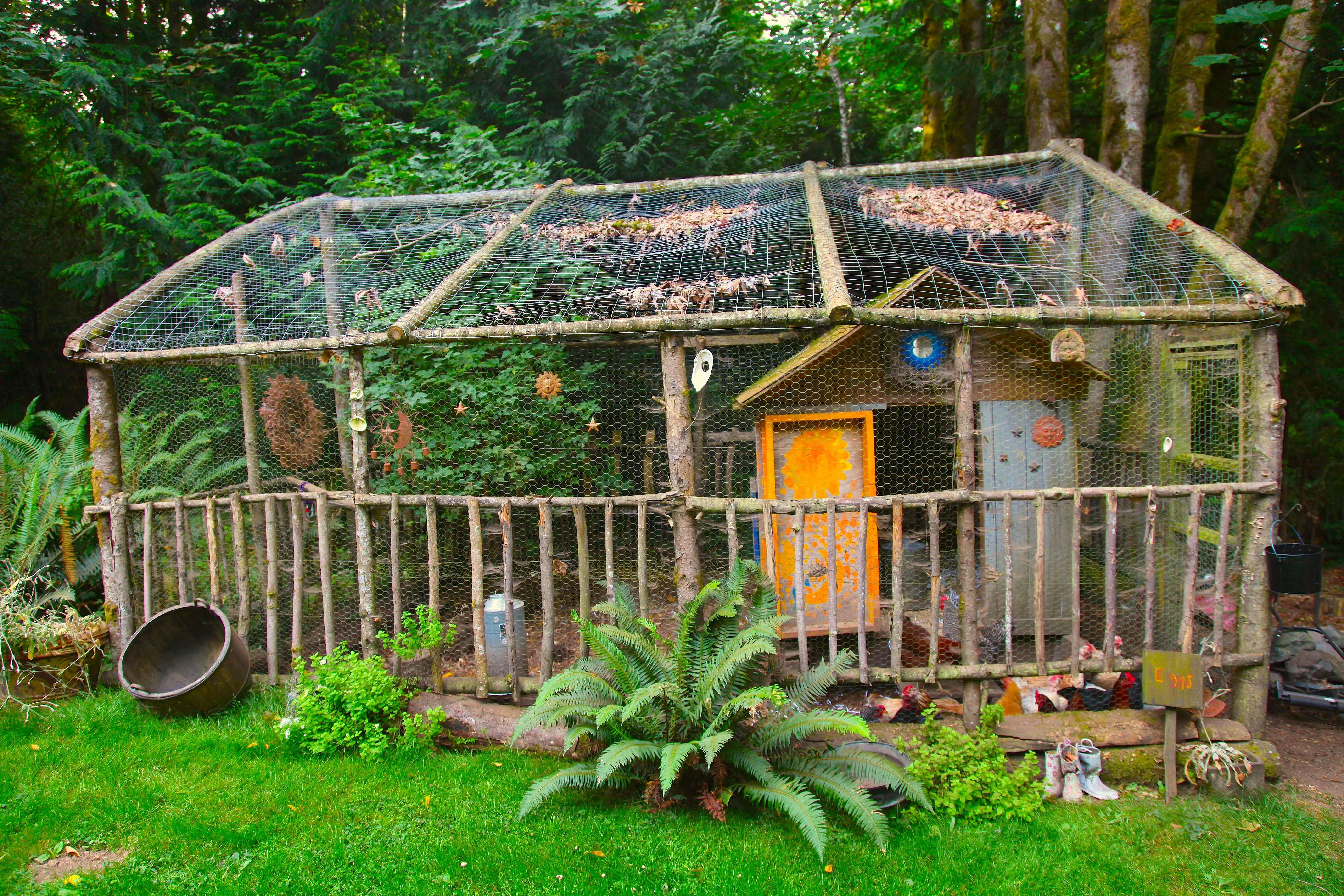 Chicken Wire Squirrel Proof Garden