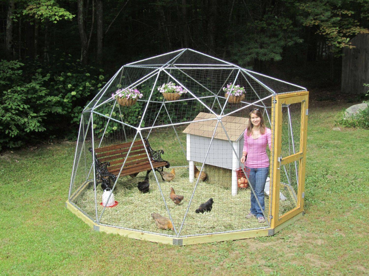 New Strawberry Bed Cages