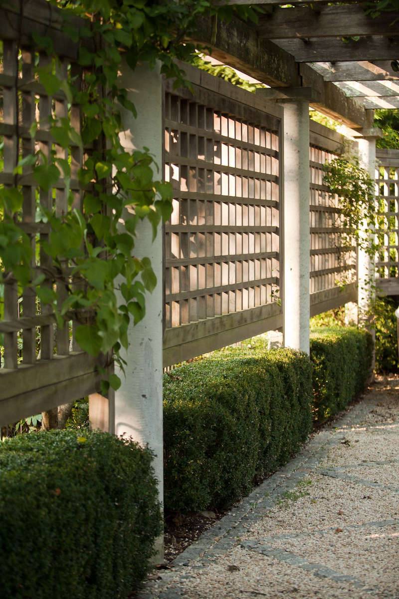 Vertical Vegetable Garden Ideas