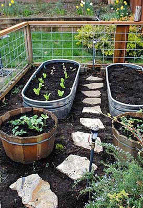Vegetable Trellis