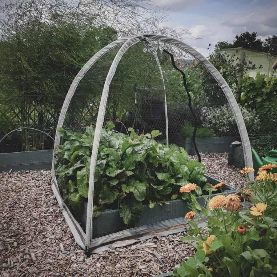 A Design Studio Vertical Vegetable Gardens
