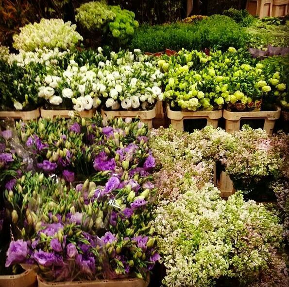 Stunning Spring Garden Ideas