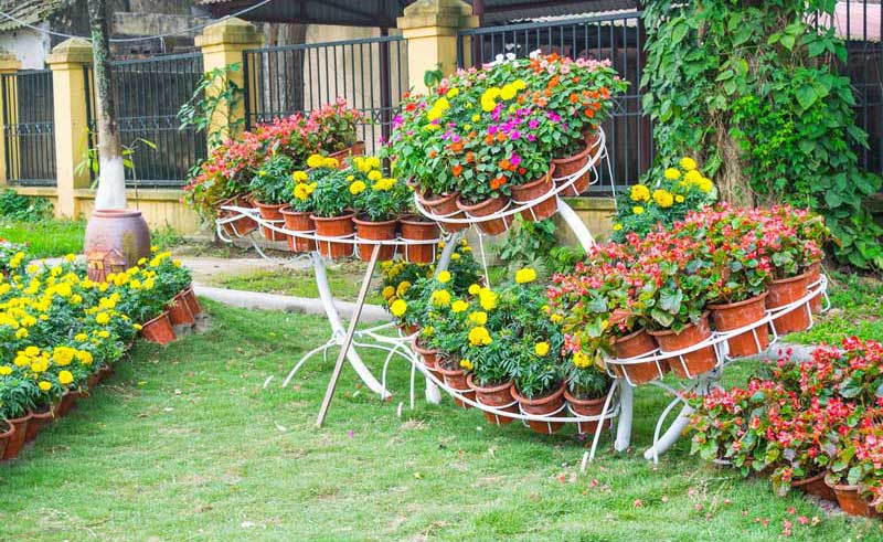 Flower Garden Ideas
