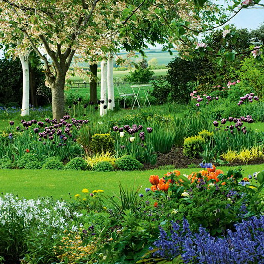 Beautiful Flower Garden Design