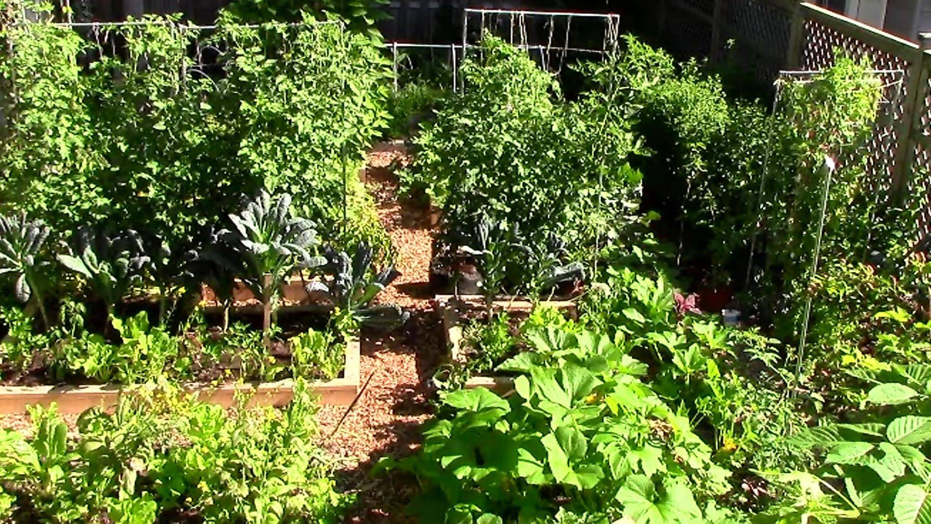 Creative Vegetable Garden Ideas And Decorations Vertical Vegetable