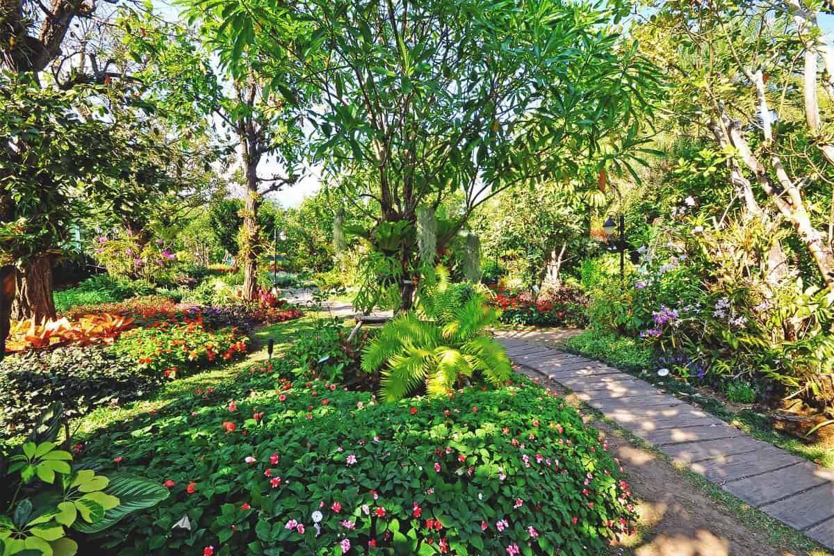 Enclosed Vegetable Garden Ideas