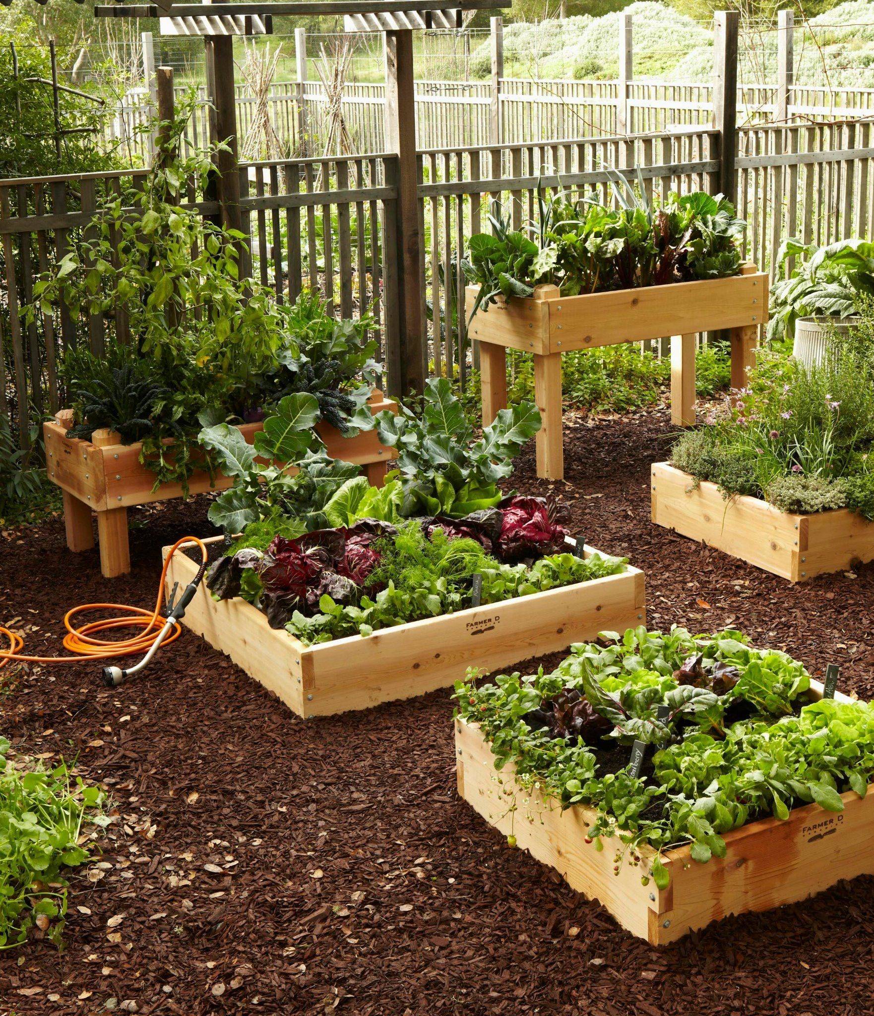 Suburban Kitchen Garden Southern Living