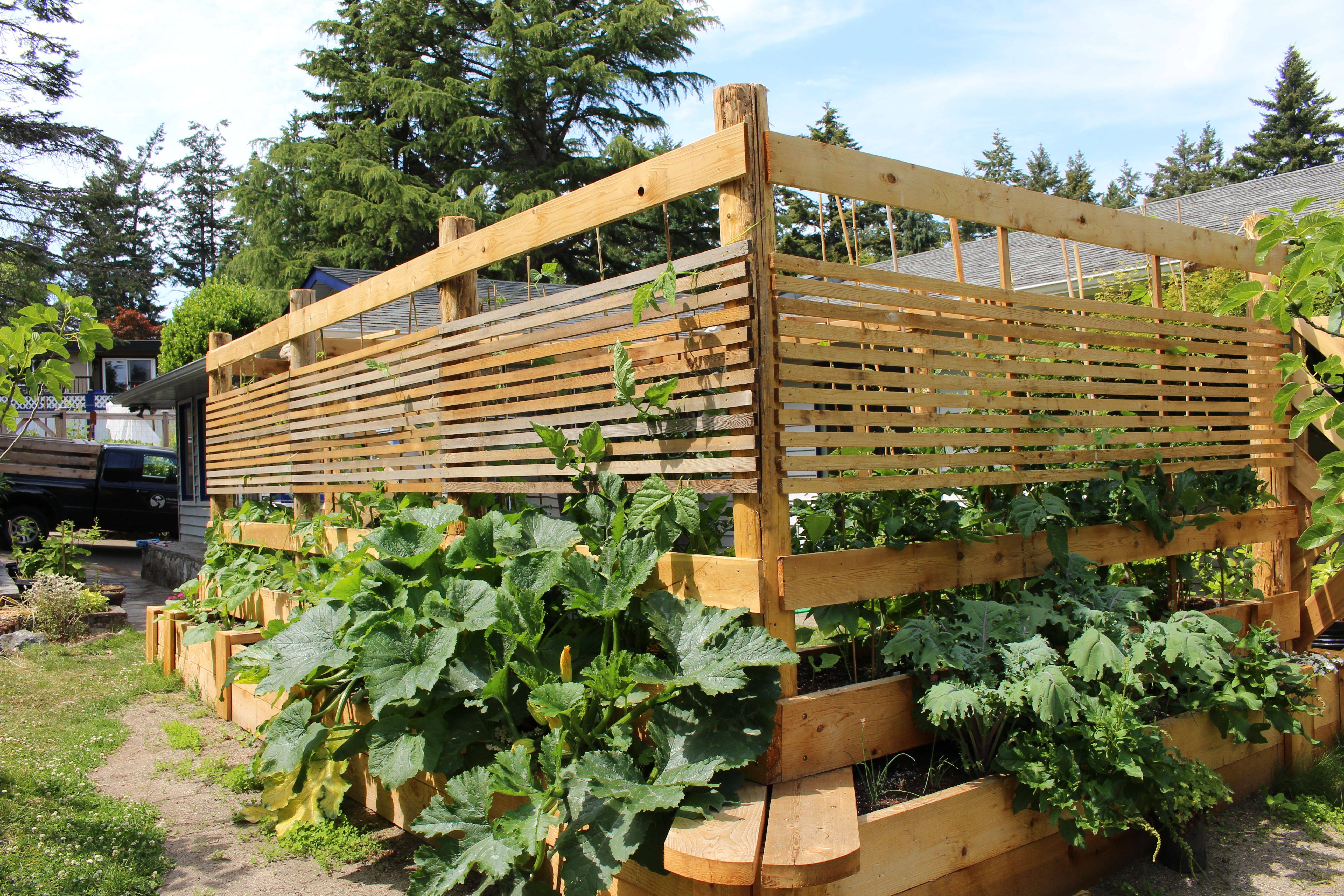 Fantastic Backyard Vegetable Garden Ideas