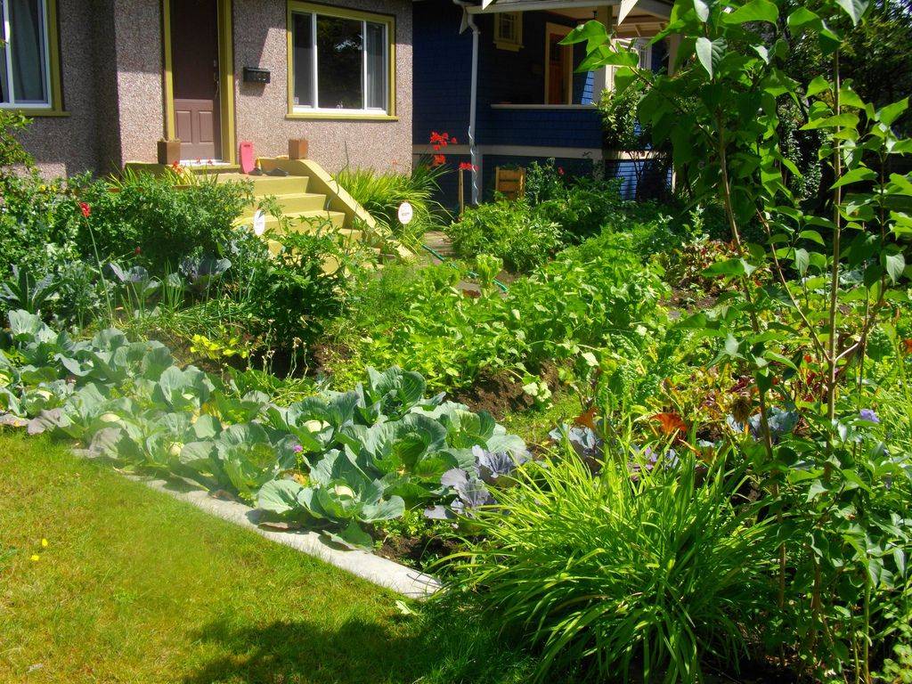 Amazing Vegetable Garden Design Ideas