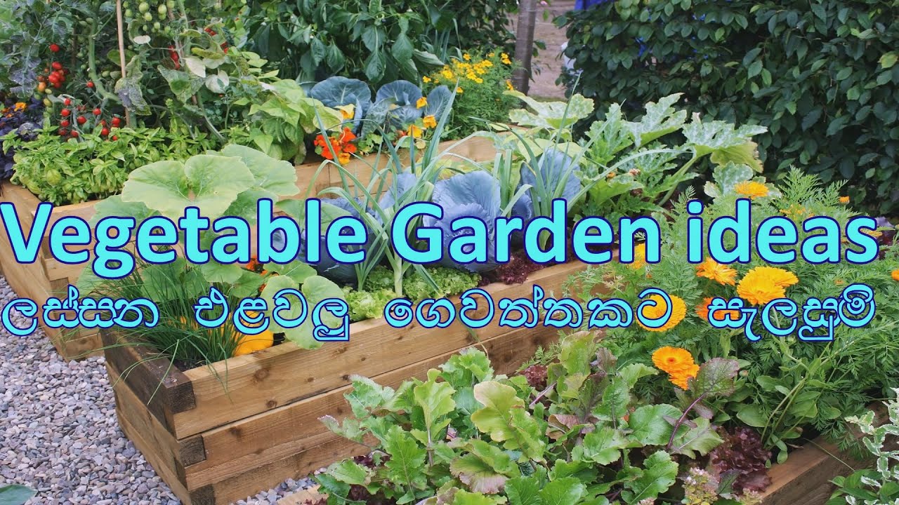 Vegetable Garden Design