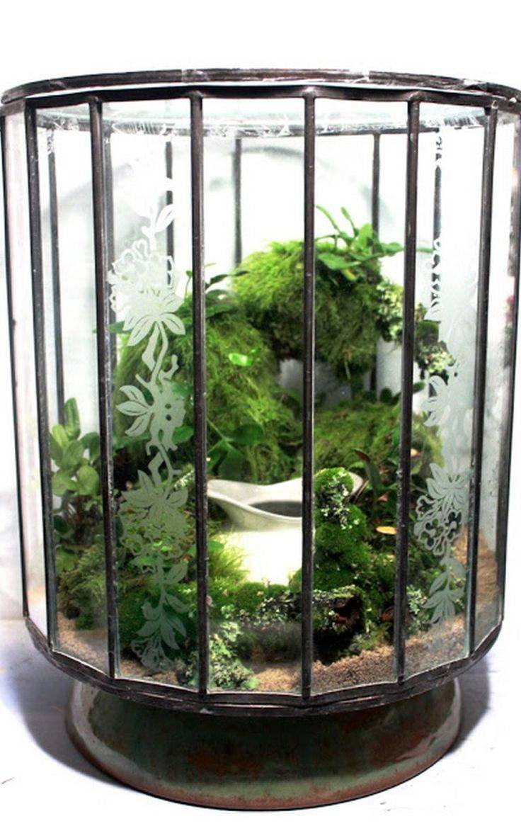 Freshwater Aquarium