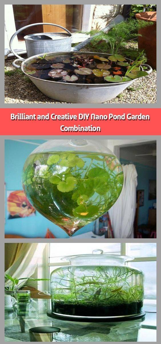 Nano Planted Tank Design Inspirations