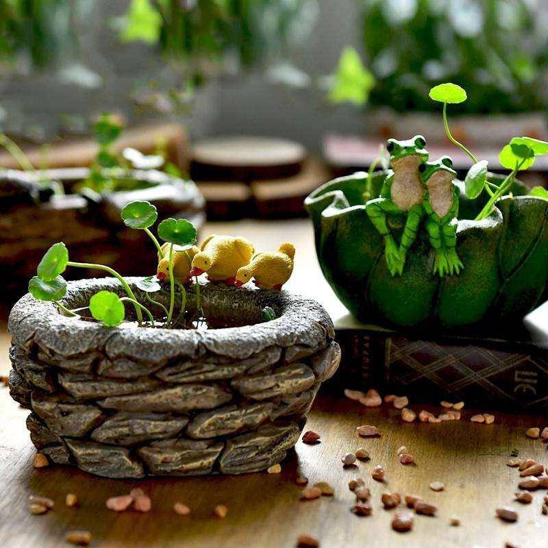 Aquarium Backyard Garden Ideas Nano Aquarium