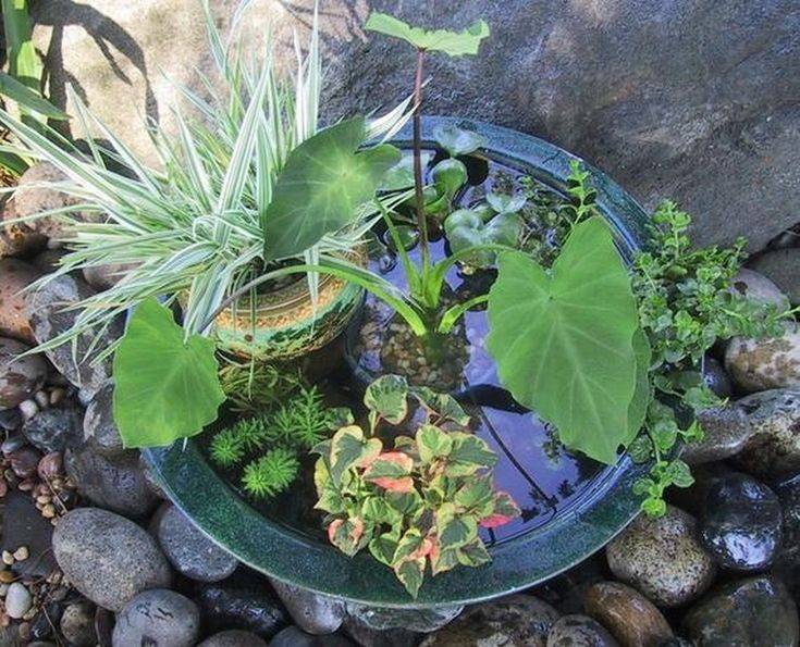 Brilliant And Creative Diy Nano Pond Garden Combination