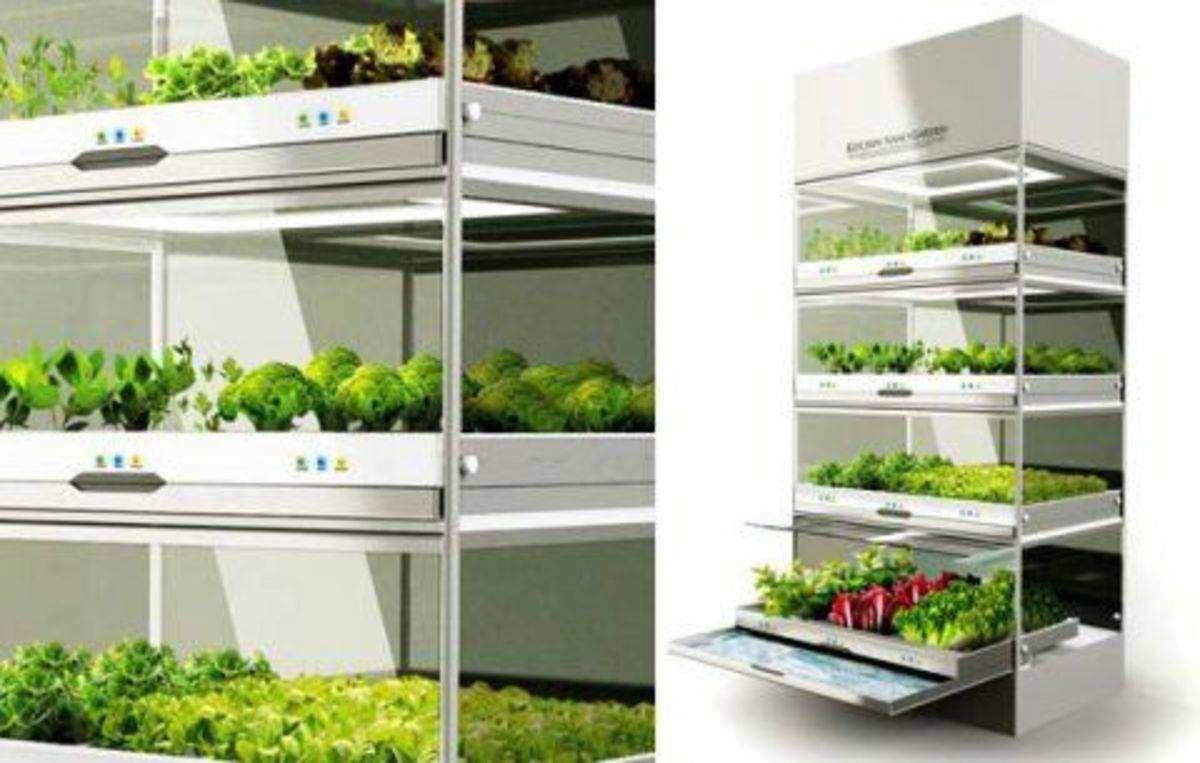 Brilliant And Creative Diy Nano Pond Garden Combination