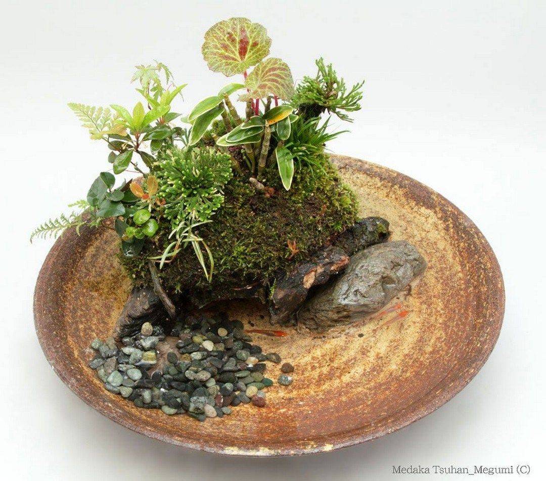 Hydroponic Design Ideas Kitchen Nano Garden
