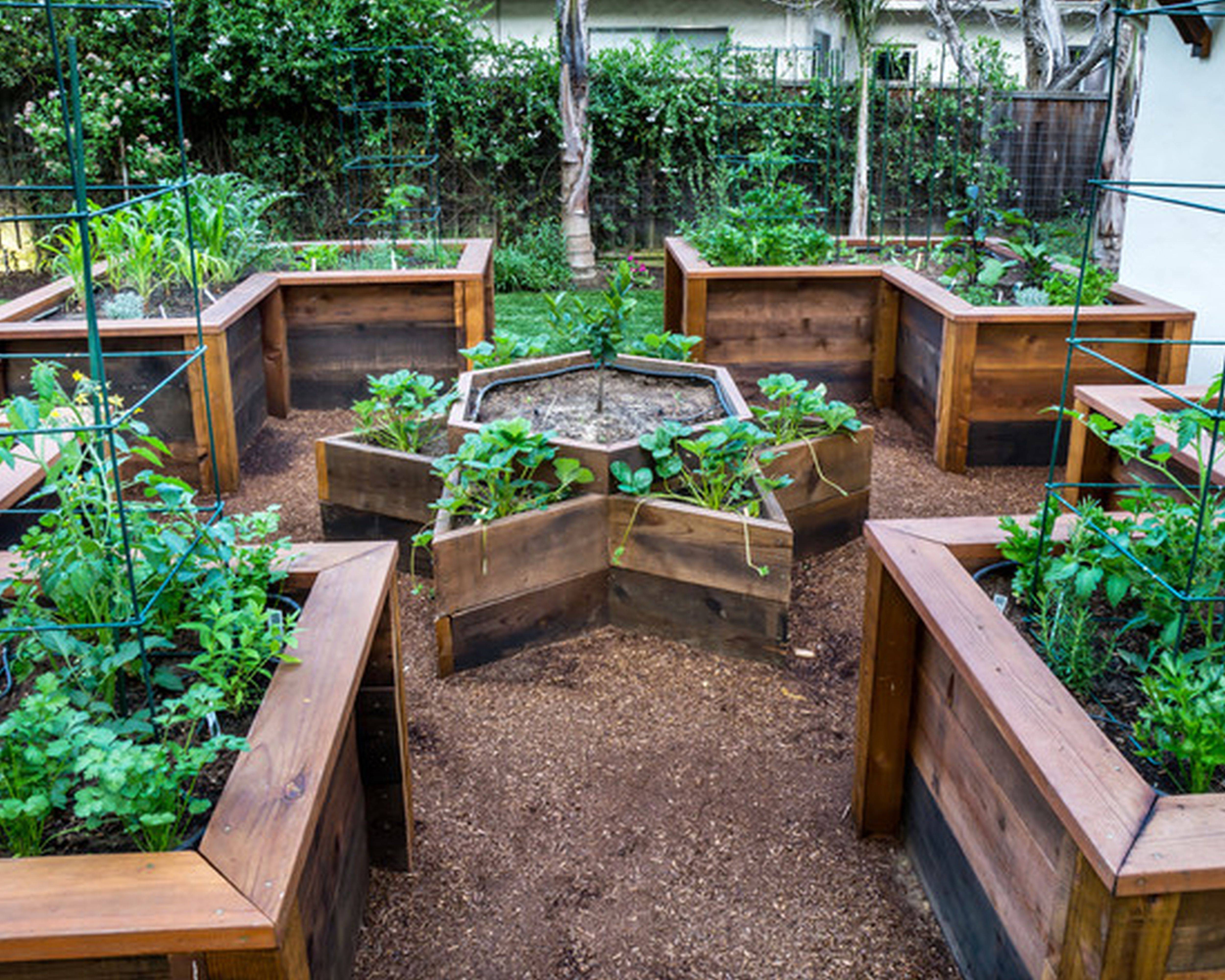 Beautiful And Practical Raised Bed Garden Designs