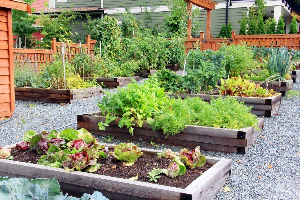 Lovely Vegetable Garden Decoration Ideas