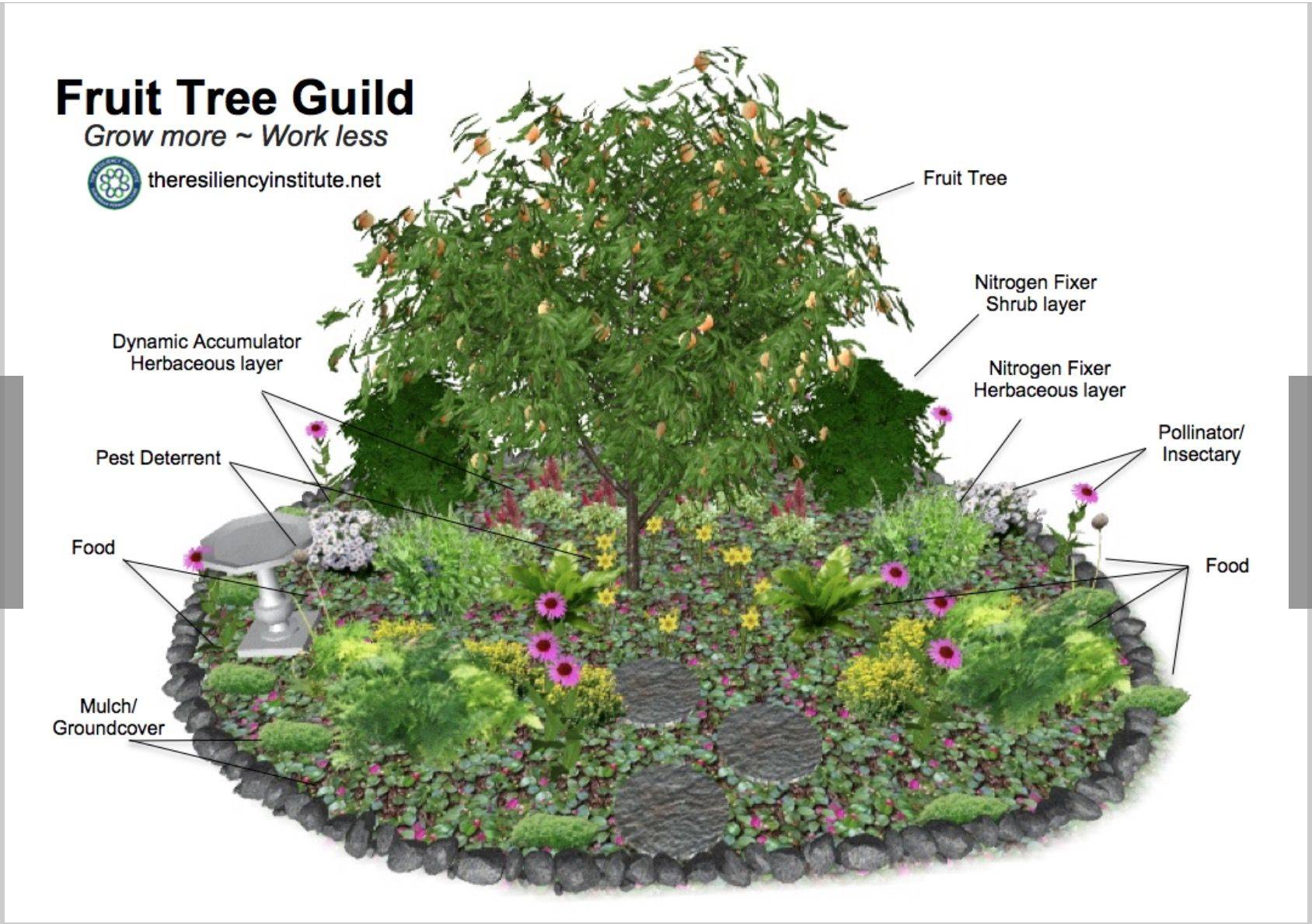 The Best Small Scale Farming Ideas Grocycle