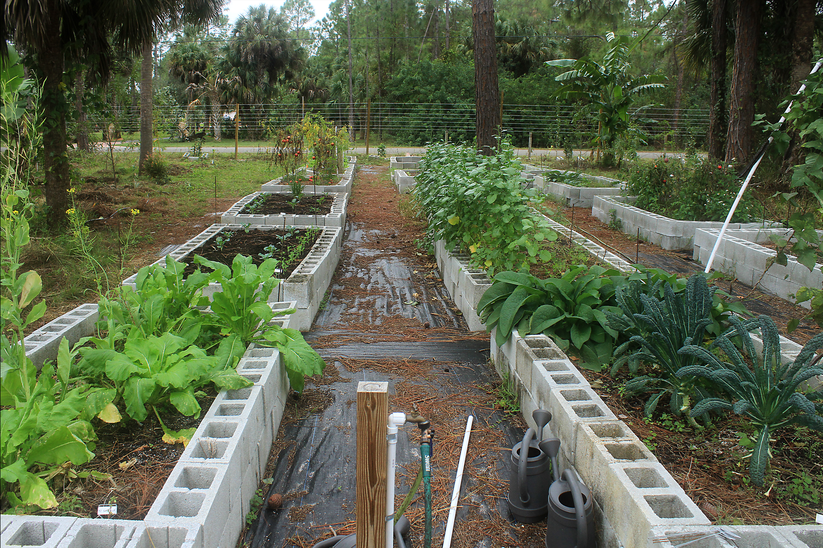 Permaculture Designs Lilianausvat