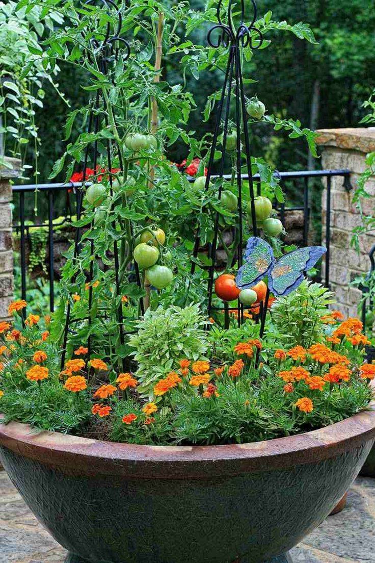 Best Pretty Vegetable Garden Ideas