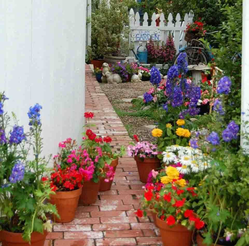 Beautiful Flower Beds