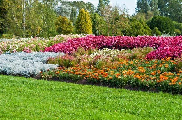 Bright Summer Flower Pots