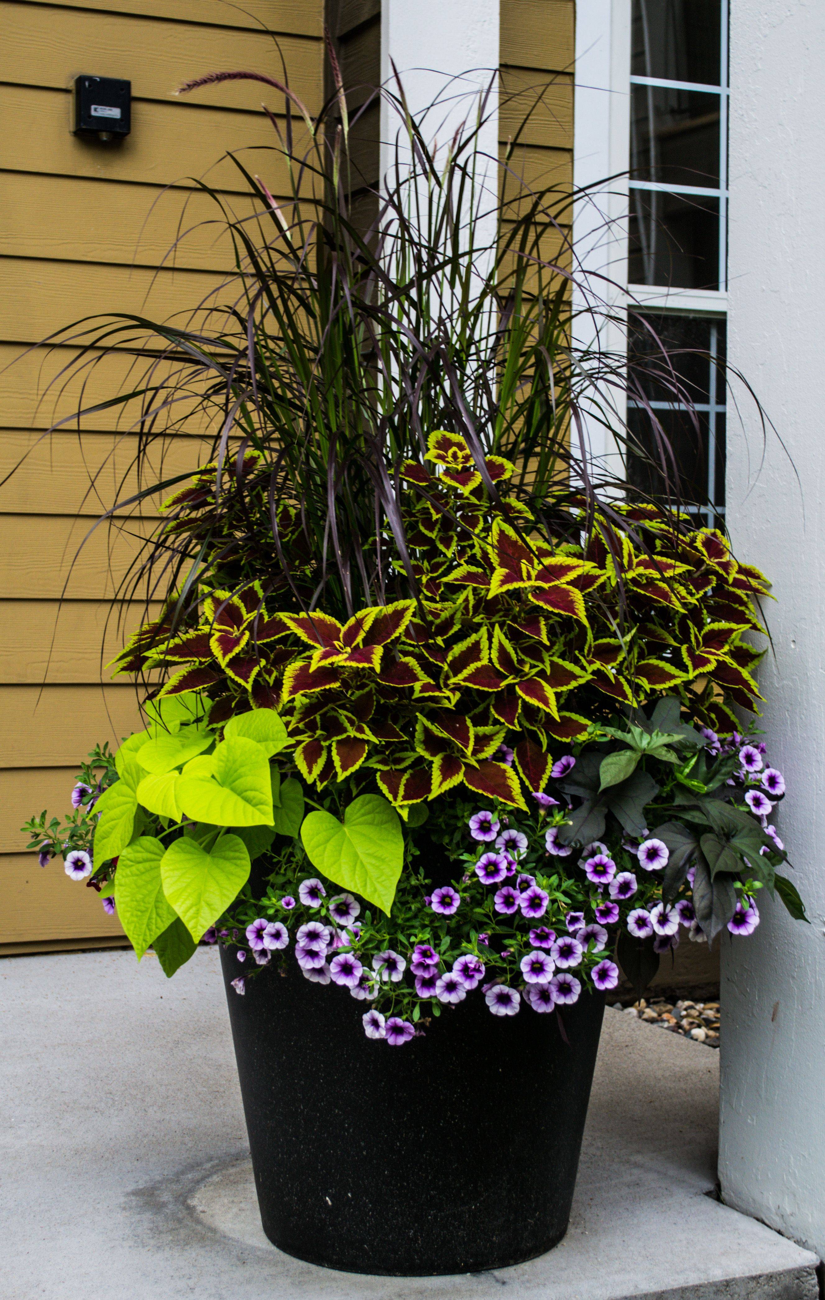 Diy Garden Flower Curb