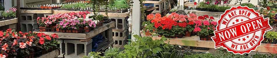 Olde Saratoga Home And Garden Flowers