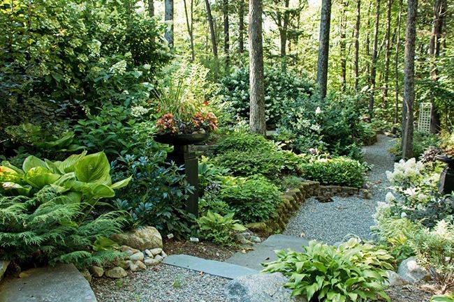 Olde Saratoga Home And Garden Flowers