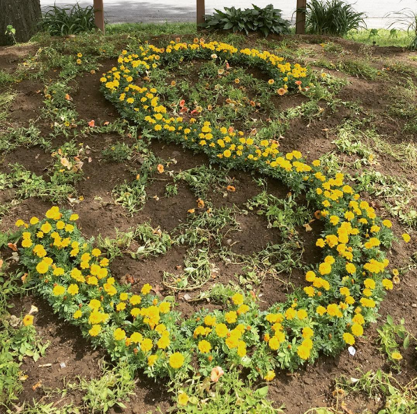 8 Flower Garden Saratoga Springs NY Ideas You Should Look SharonSable